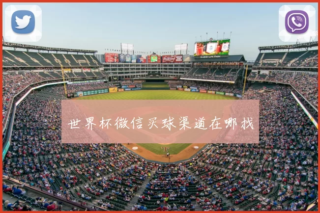 世界杯微信买球渠道在哪找