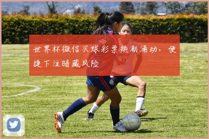 世界杯微信买球彩票热潮涌动,便捷下注暗藏风险