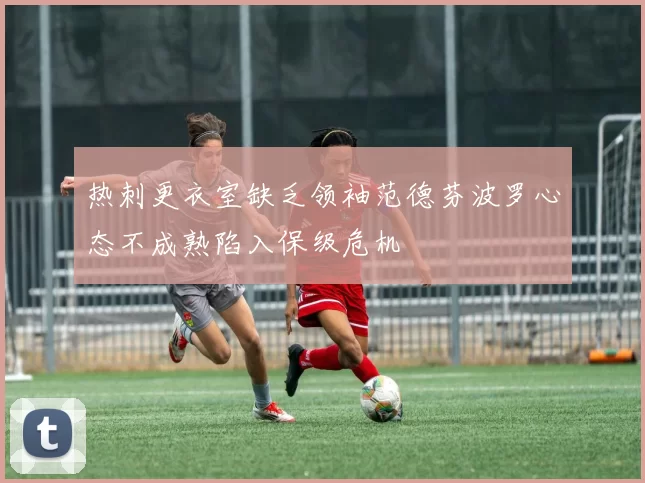 热刺更衣室缺乏领袖范德芬波罗心态不成熟陷入保级危机
