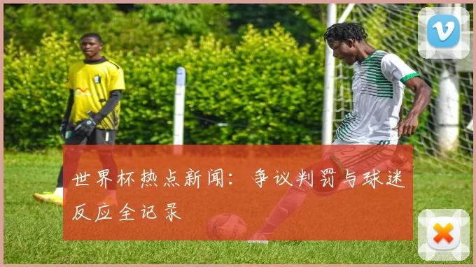 世界杯热点新闻：争议判罚与球迷反应全记录