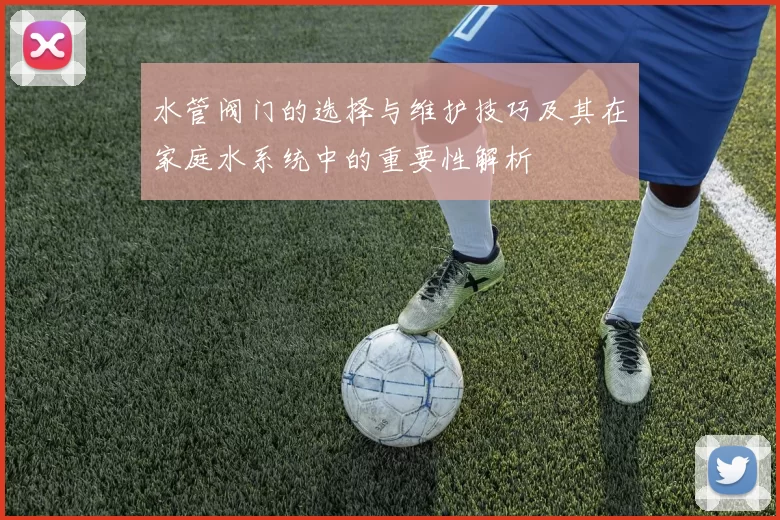 水管阀门的选择与维护技巧及其在家庭水系统中的重要性解析