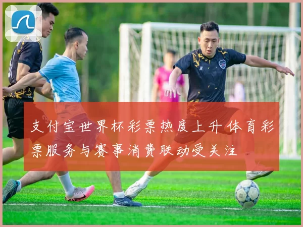 支付宝世界杯彩票热度上升 体育彩票服务与赛事消费联动受关注