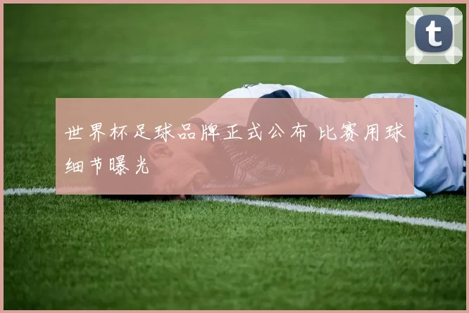 世界杯足球品牌正式公布 比赛用球细节曝光