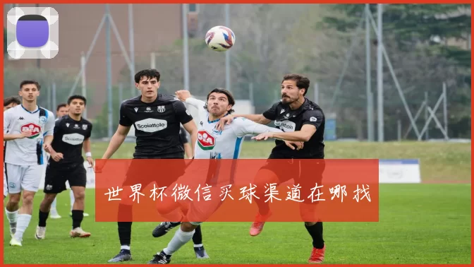 世界杯微信买球渠道在哪找