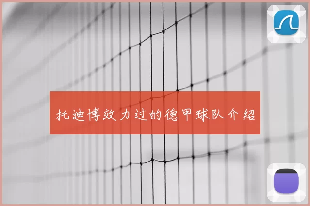 托迪博效力过的德甲球队介绍