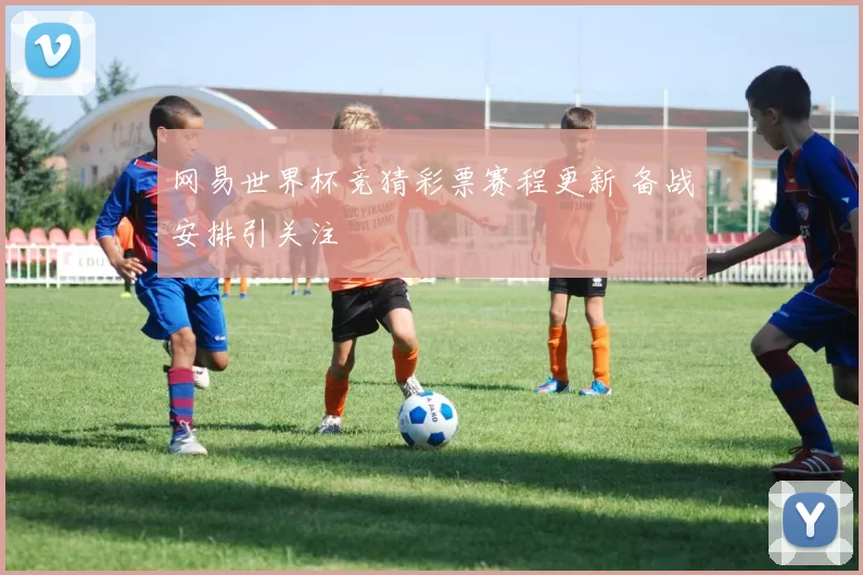 网易世界杯竞猜彩票赛程更新 备战安排引关注