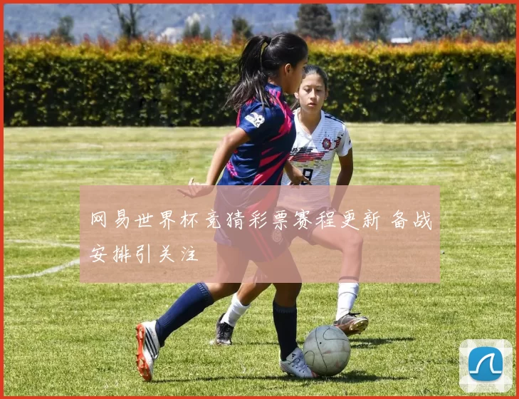 网易世界杯竞猜彩票赛程更新 备战安排引关注