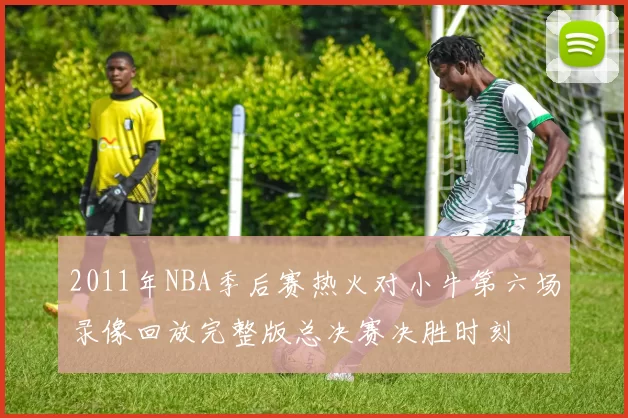 2011年NBA季后赛热火对小牛第六场录像回放完整版总决赛决胜时刻